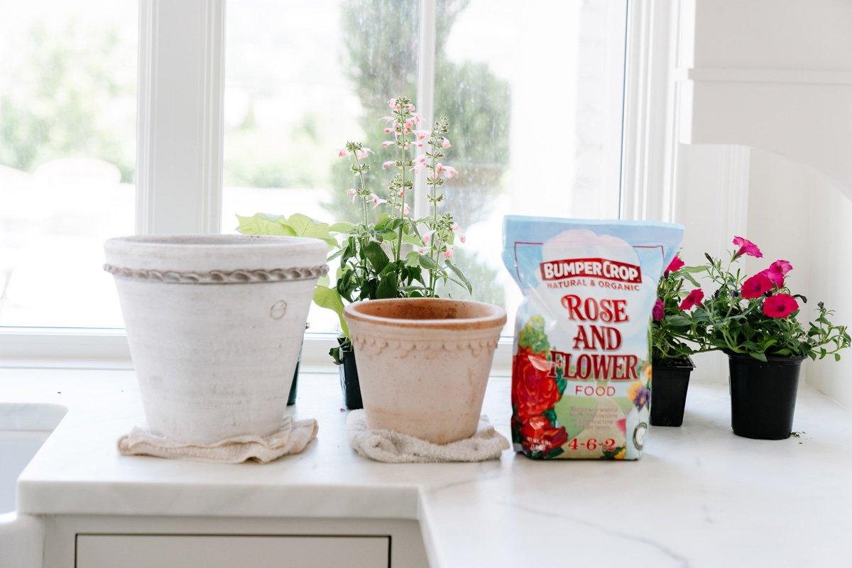 Got a Late Start On Planting Flower Pots? Here Are My Tips...
