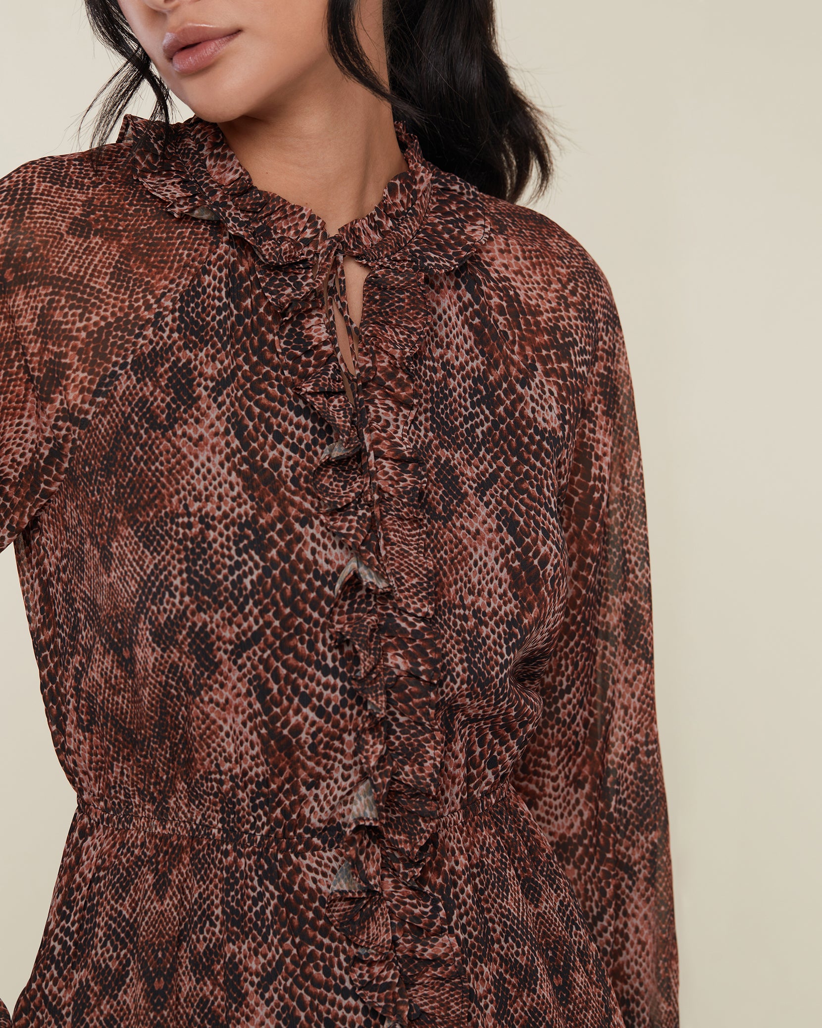 Brown Snake Print